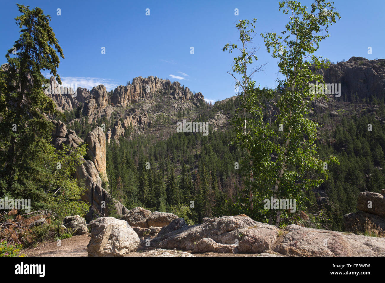 Black Hills National Forest Custer State Park Cathedral Spires South Dakota SD-Bilder Bilder vertikales Format sehr hohe Auflösung in den USA hohe Auflösung Stockfoto