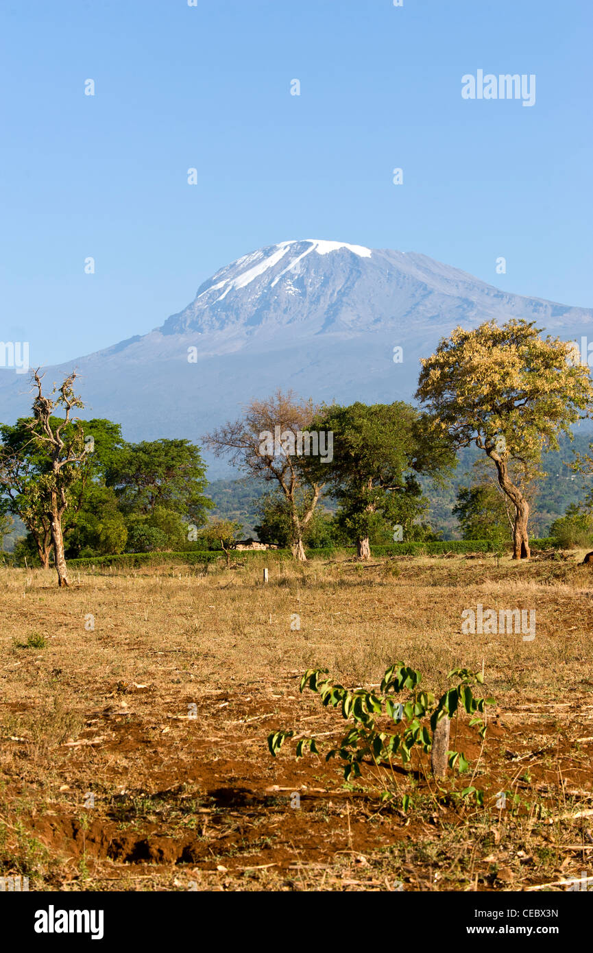 Kilimanjaro und landwirtschaftliche Flächen während der Trockenzeit von Moshi, Tansania Stockfoto