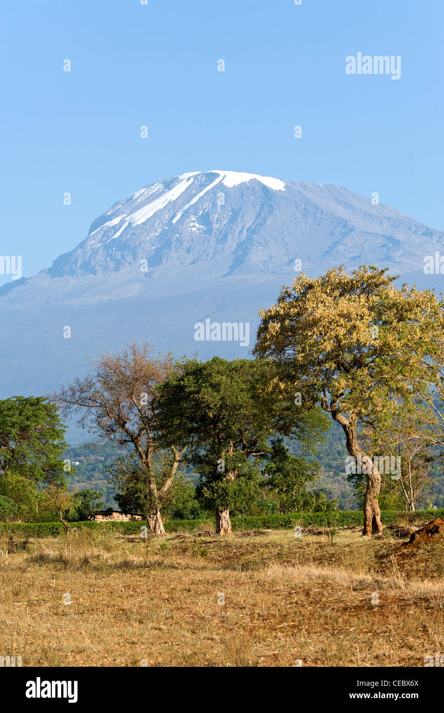 Kilimanjaro und landwirtschaftliche Flächen während der Trockenzeit von Moshi, Tansania Stockfoto