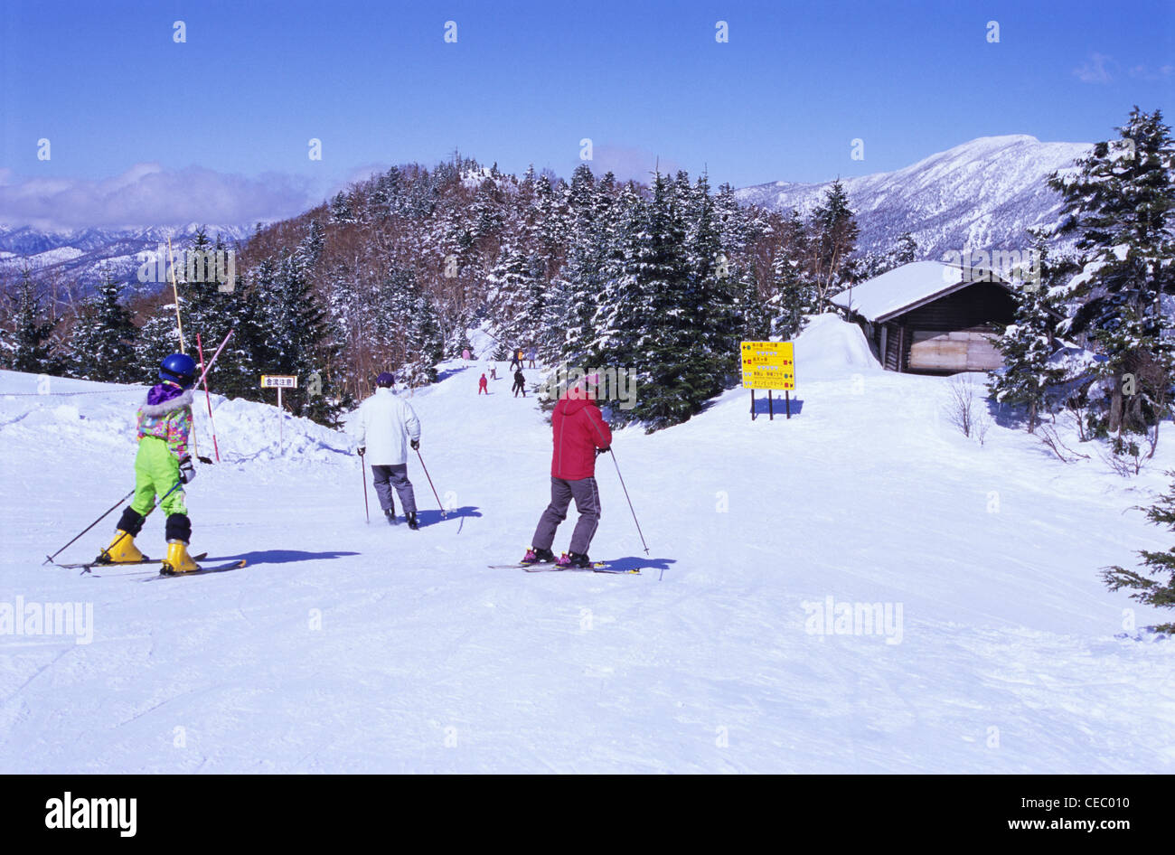 Skifahrer, Shiga Kogen, Präfektur Nagano, Japan Stockfoto