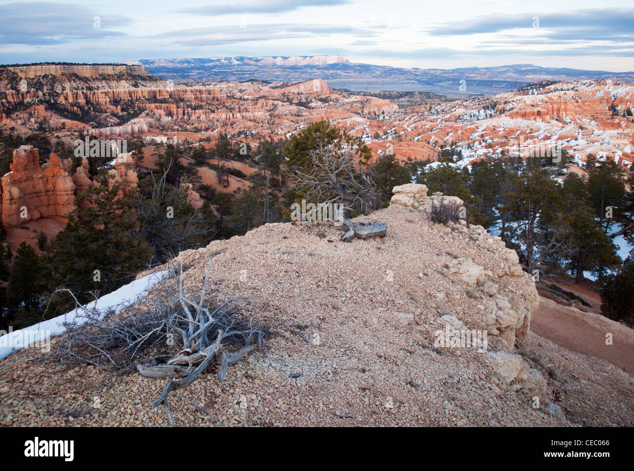 Bryce Canyon Tal Stockfoto