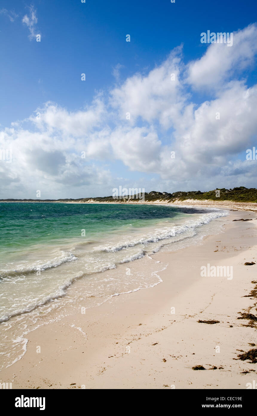 White Sand Strand von Hangover Bay im Nambung National Park in der Nähe von Cervantes, Western Australia, Australien Stockfoto