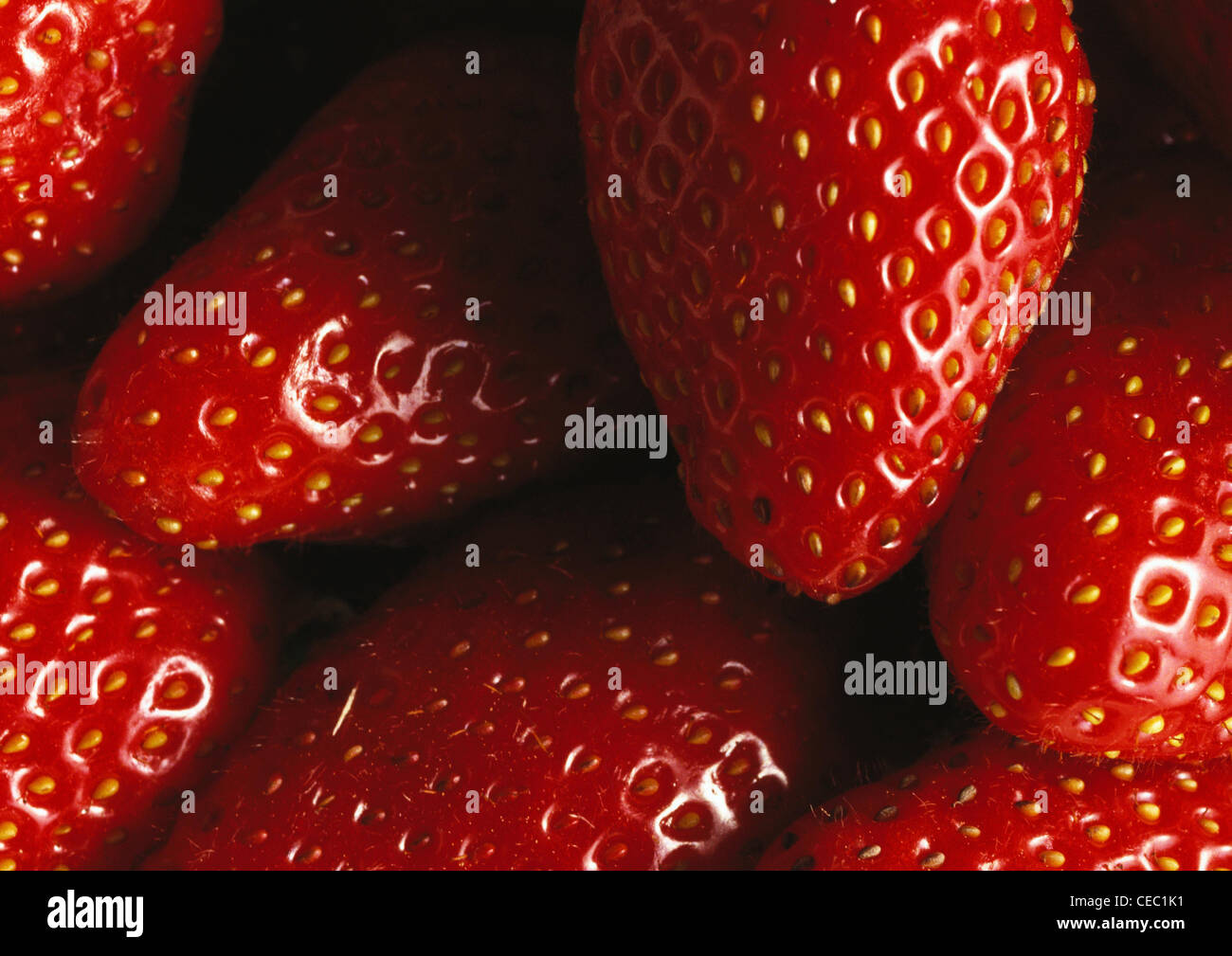 Erdbeeren, close-up Stockfoto