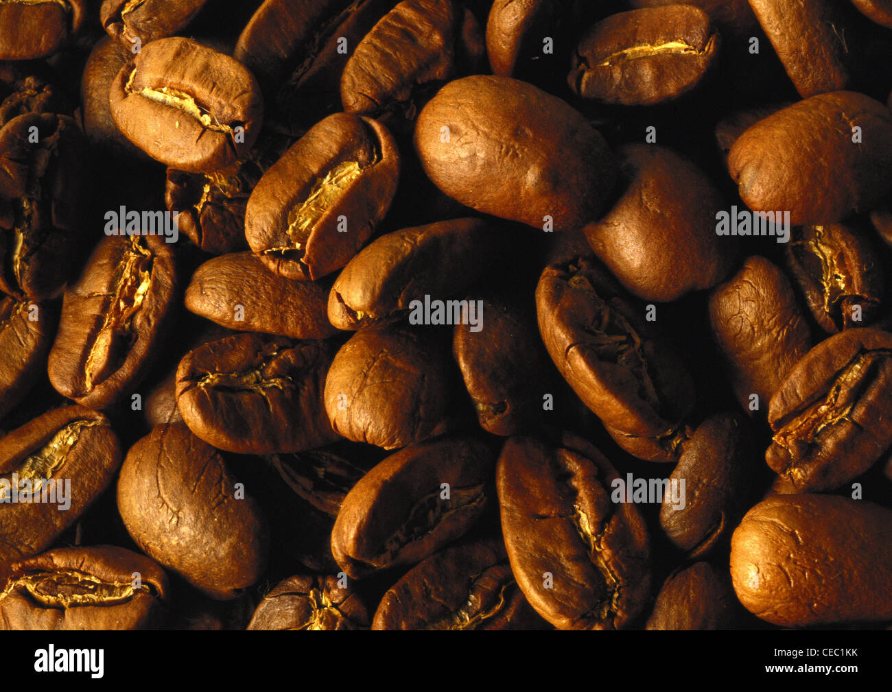 Kaffeebohnen, close-up Stockfoto