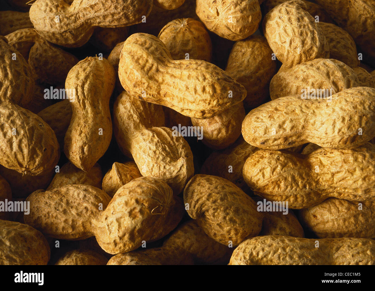 Erdnüsse in Schalen, Nahaufnahme Stockfoto