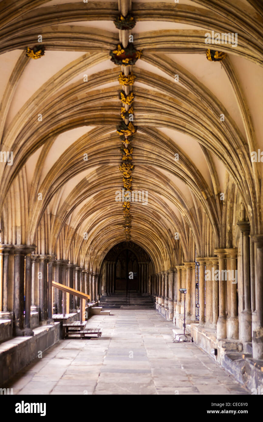 Norwich Kathedrale Kreuzgang, Norwich, Norfolk England. Stockfoto
