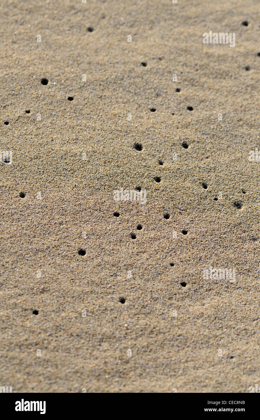 Sand-Muster mit Löchern Stockfoto