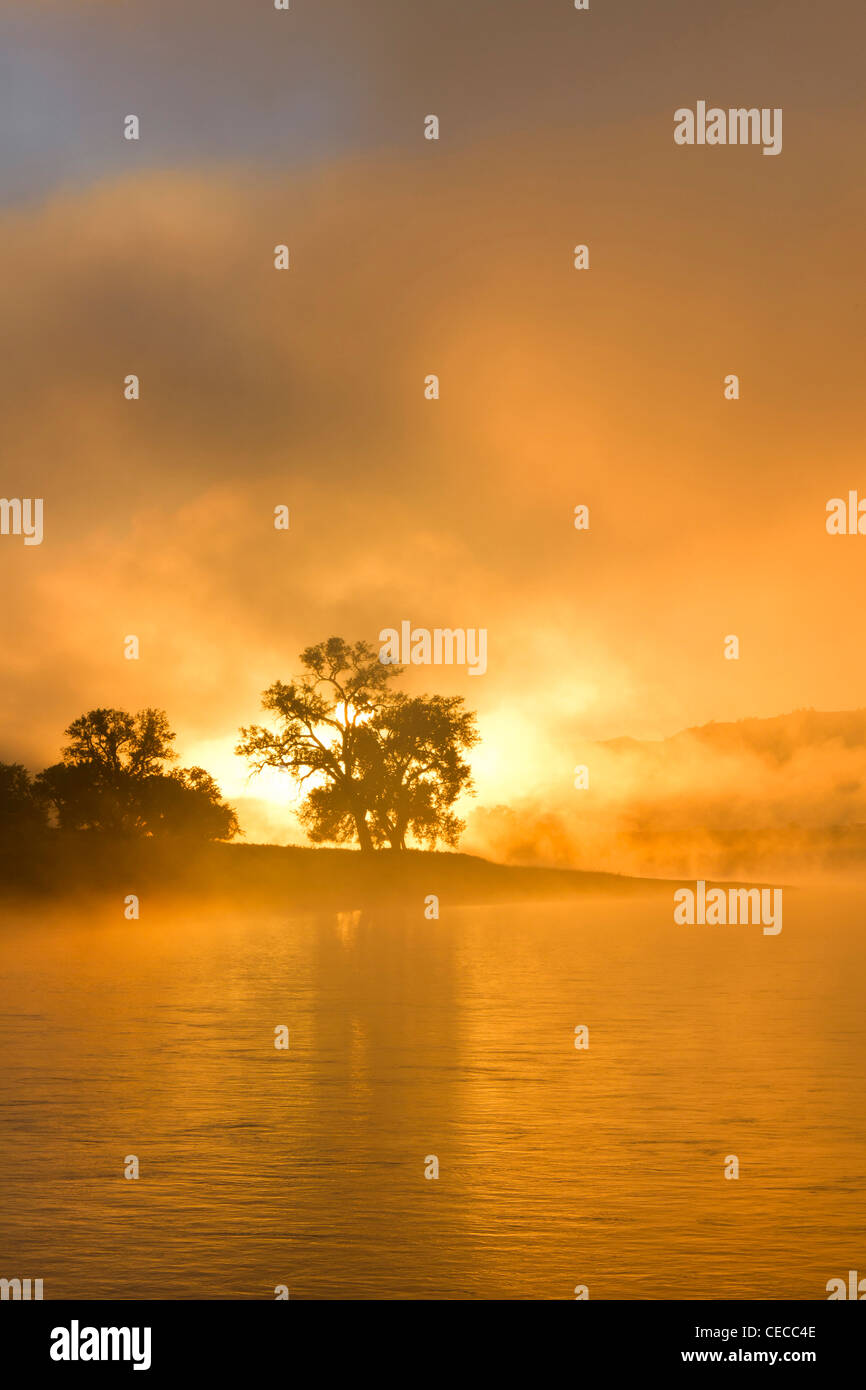 Sonnenaufgang am Morgen brennt durch den Nebel auf dem Missouri River am oberen Missouri River Breaks National Monument, Montana, USA Stockfoto