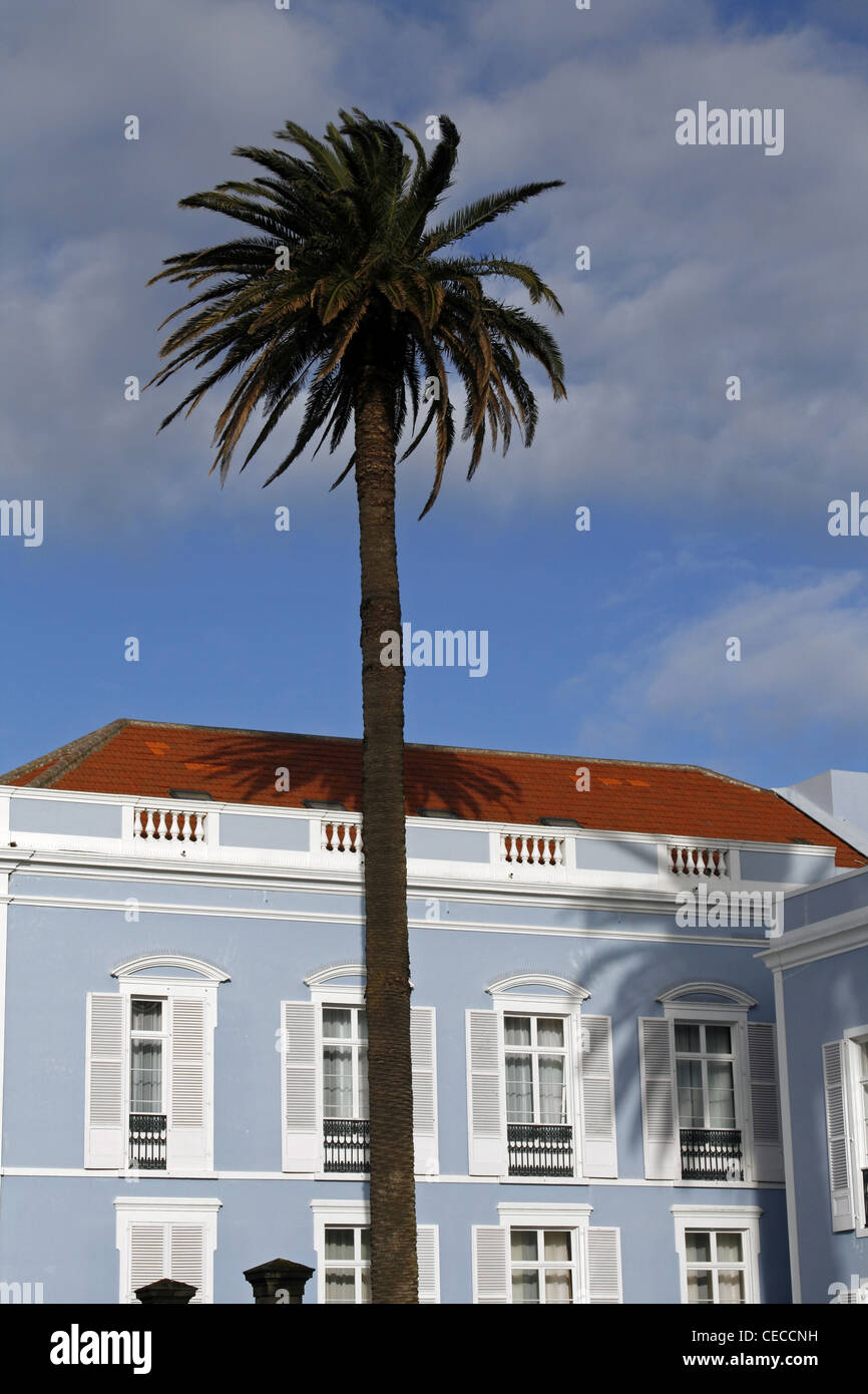 Azoren San Miguel Island Portugal Ponta Delgada blaues Gebäude Palme Stockfoto