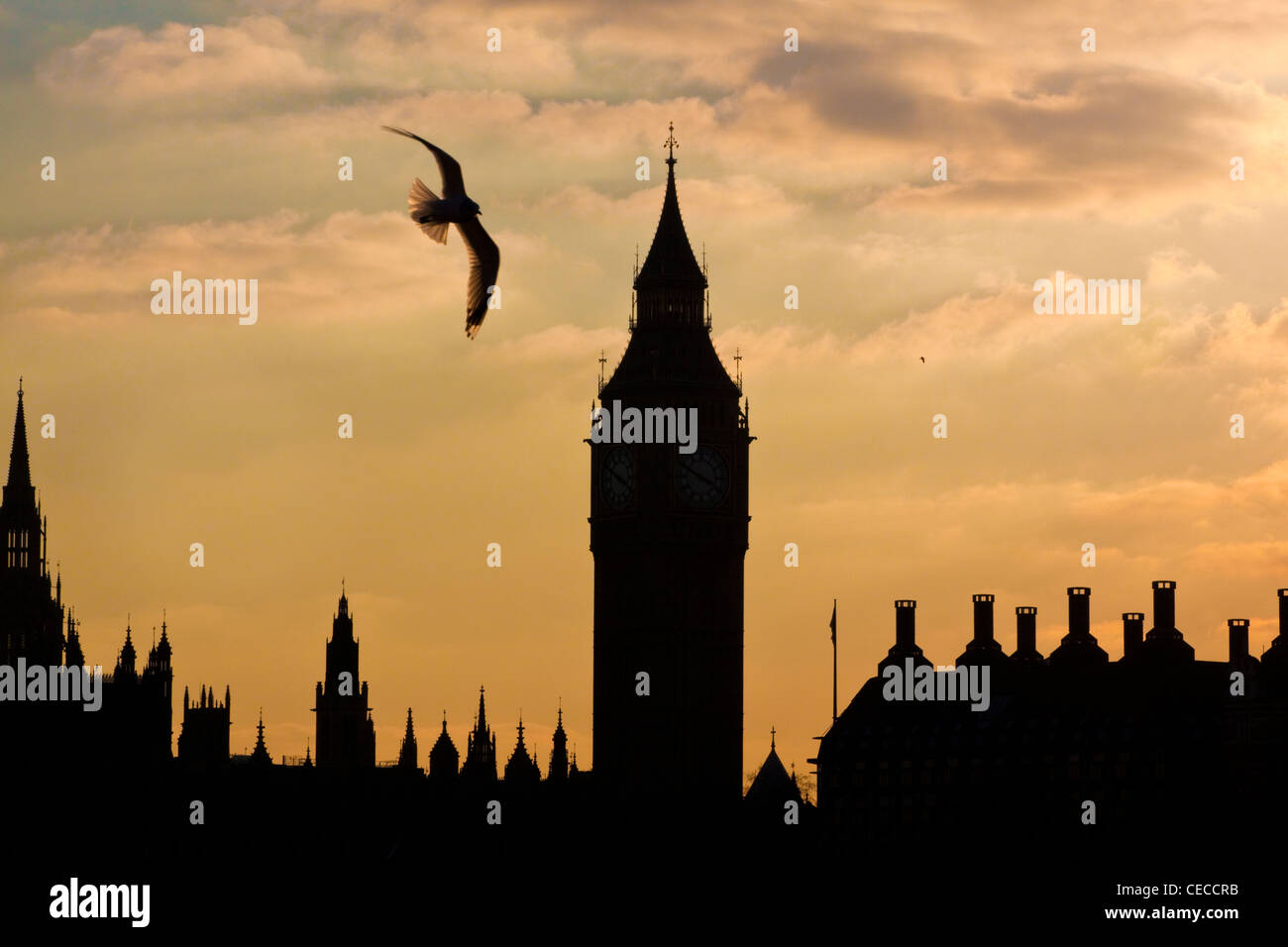 Houses of Parliament, Big Ben Uhrturm und Portcullis House, Westminster, Londoner Silhouette in der Abenddämmerung. Stockfoto