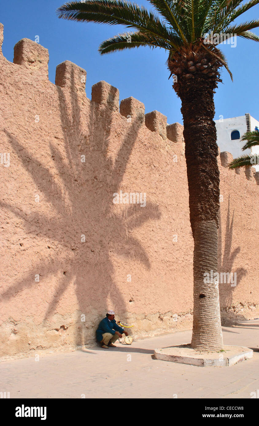 Ein Mann liegt im Schatten einer Palme in Essaouira, Marokko Stockfoto