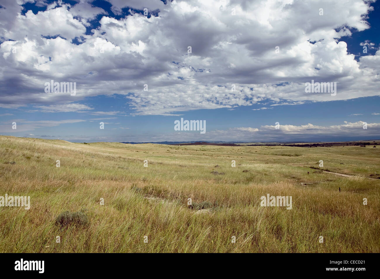 Wenig grosses Horn Battefield Nationaldenkmal, Montana. Stockfoto