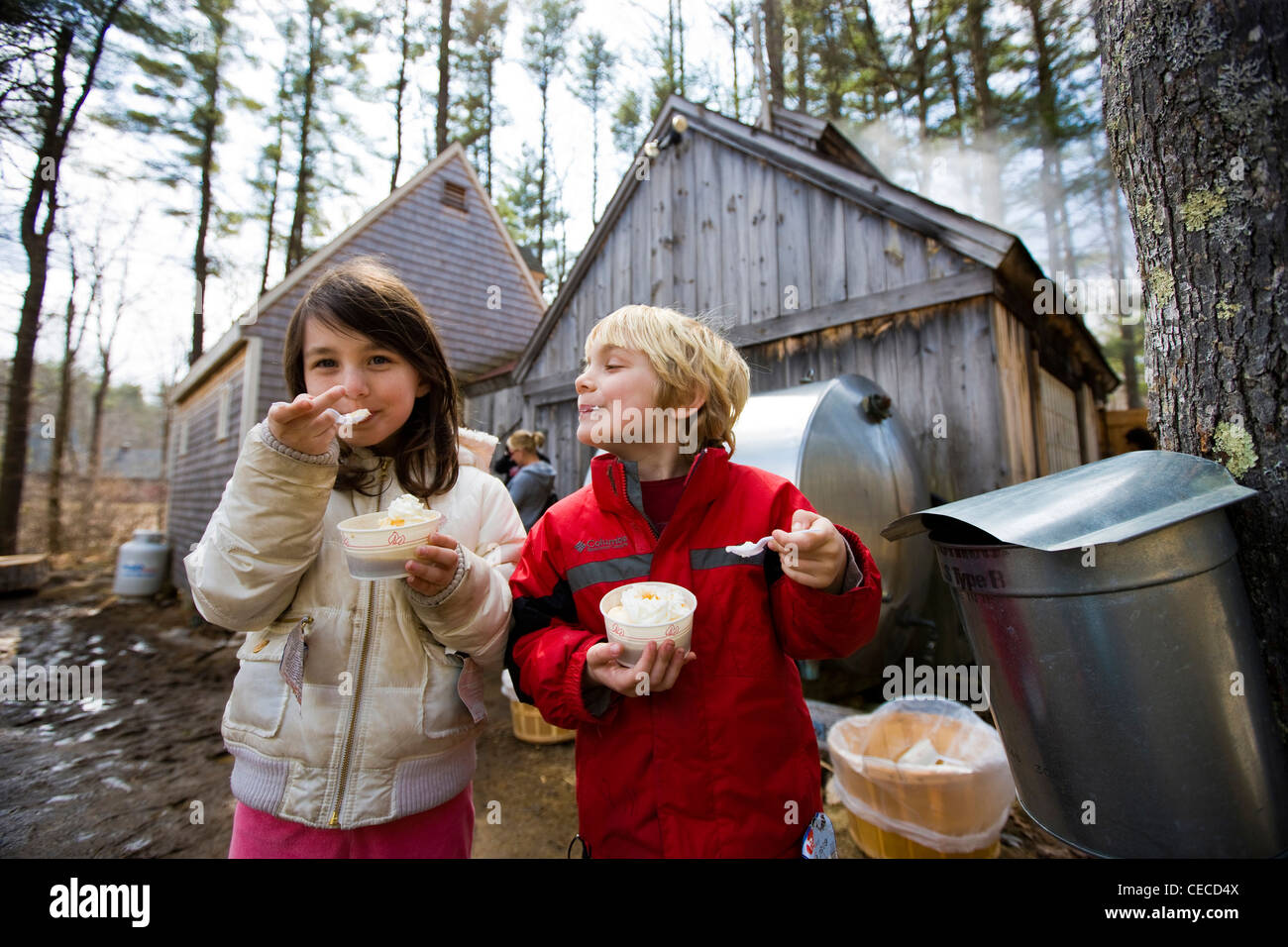 Zwei Kinder genießen Ahorn Eisbecher am Folsom der Sugar House in Chester, New Hampshire.  Dampf aus kochendem Sap steigt. (MR) Stockfoto