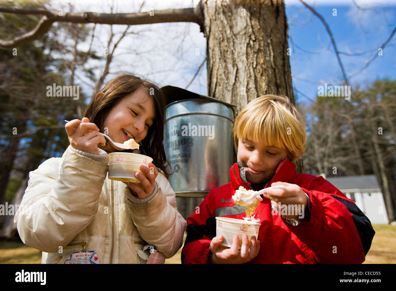 Zwei Kinder genießen Ahorn Eisbecher am Folsom der Sugar House in Chester, New Hampshire. (MR) Stockfoto