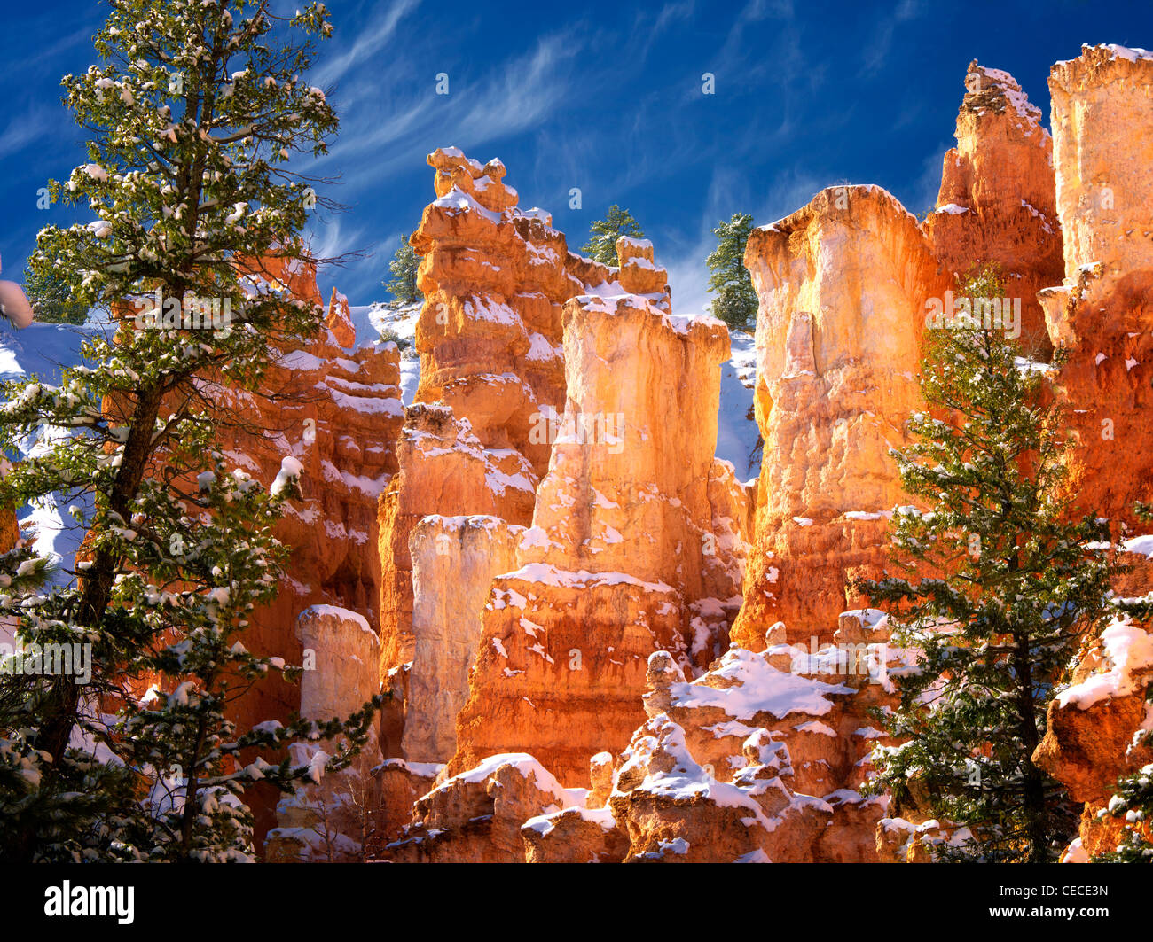 Schnee in Bryce-Canyon-Nationalpark, Utah Stockfoto