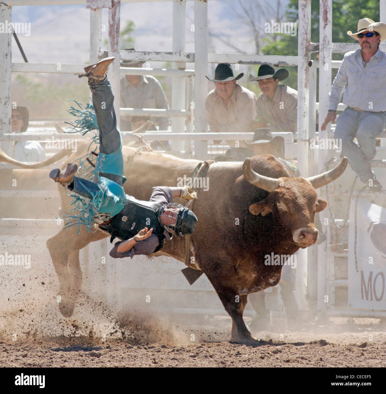 Socorro, New Mexico, USA. Wettbewerber aus seiner Halterung fallen, während die Bullenreiten Wettbewerb Stockfoto