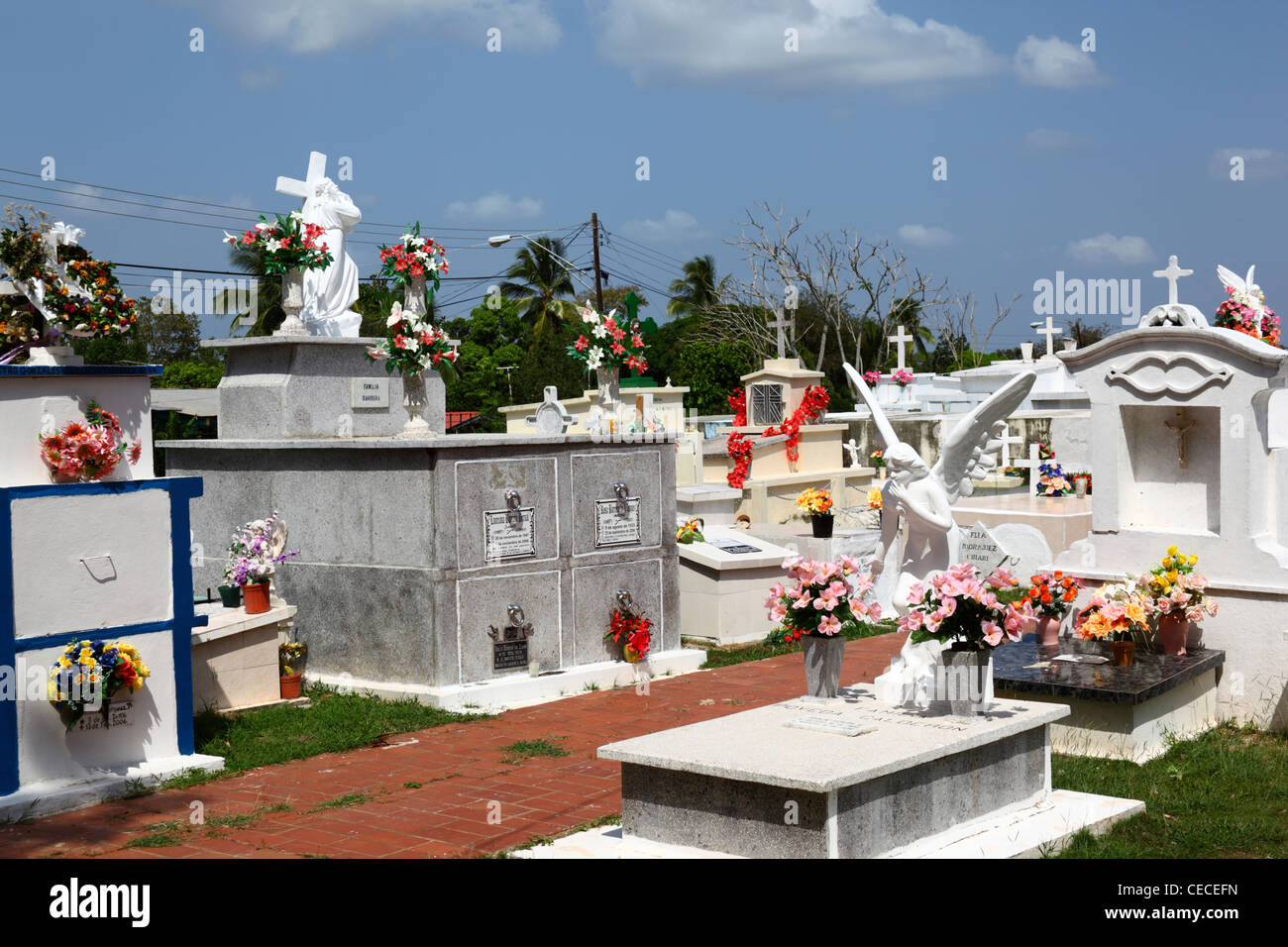 Gräber auf Parita Friedhof mit Blumen dekoriert, Provinz Herrera, Halbinsel Azuero, Panama Stockfoto