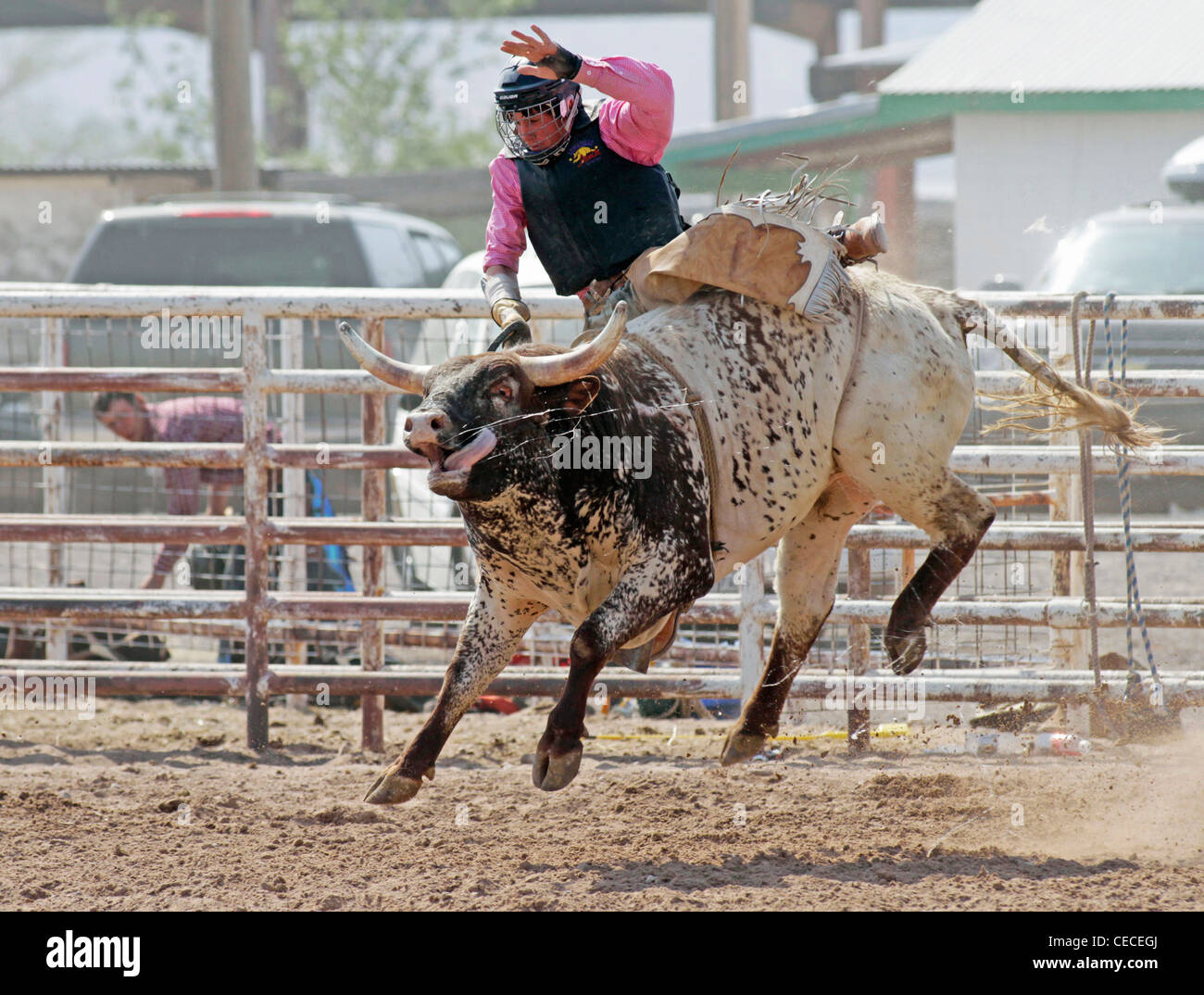 Socorro, New Mexico, USA. Teilnahme an der Bullenreiten Wettbewerb während der jährlichen Rodeo Konkurrent. Stockfoto