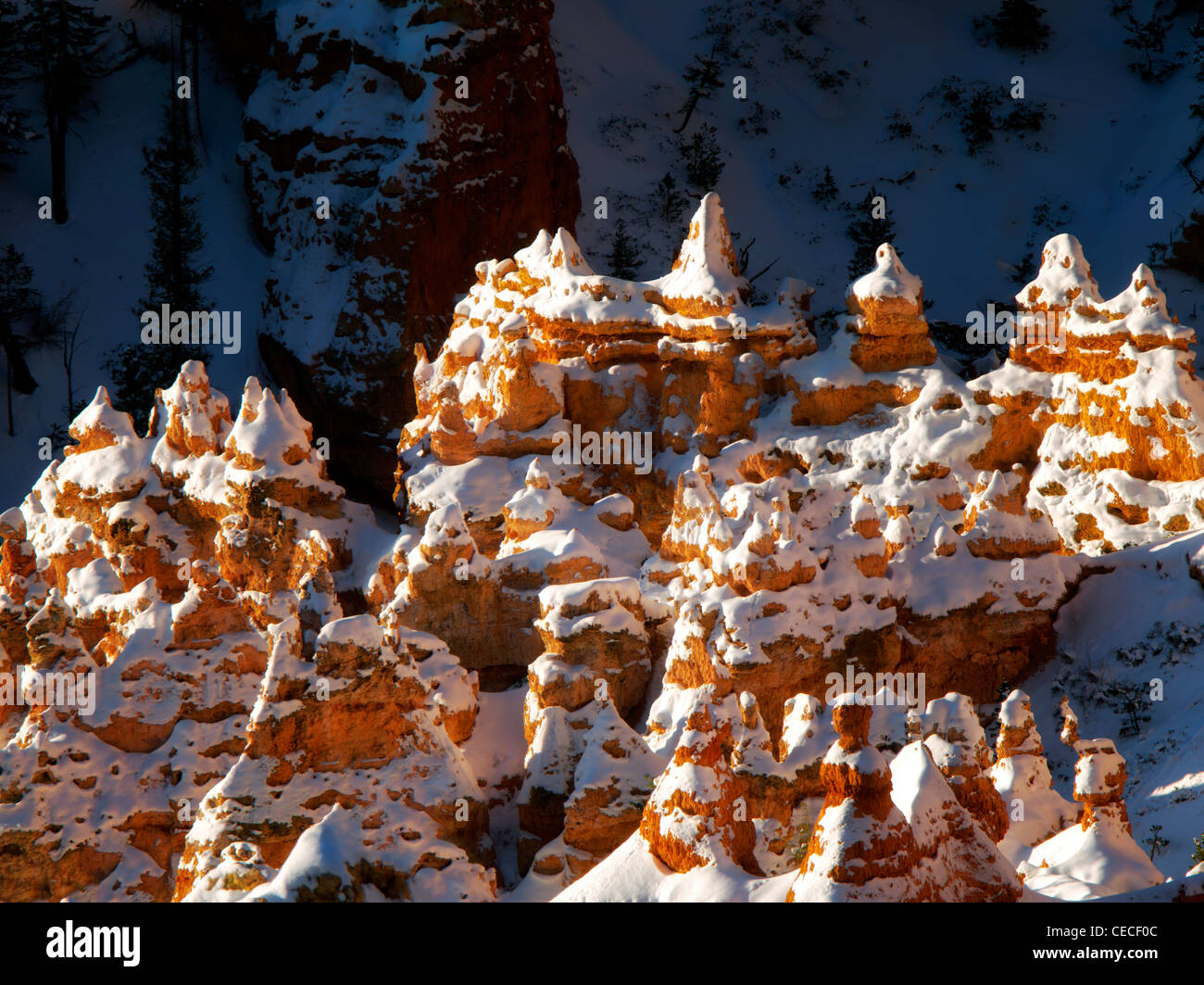 Schnee auf Hoodoos. Bryce Canyon National Park, Utah. Stockfoto