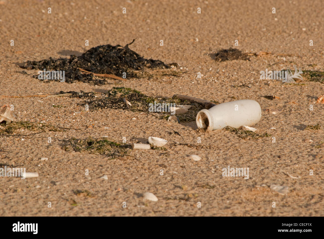 Kunststoffabfälle am Strand Stockfoto