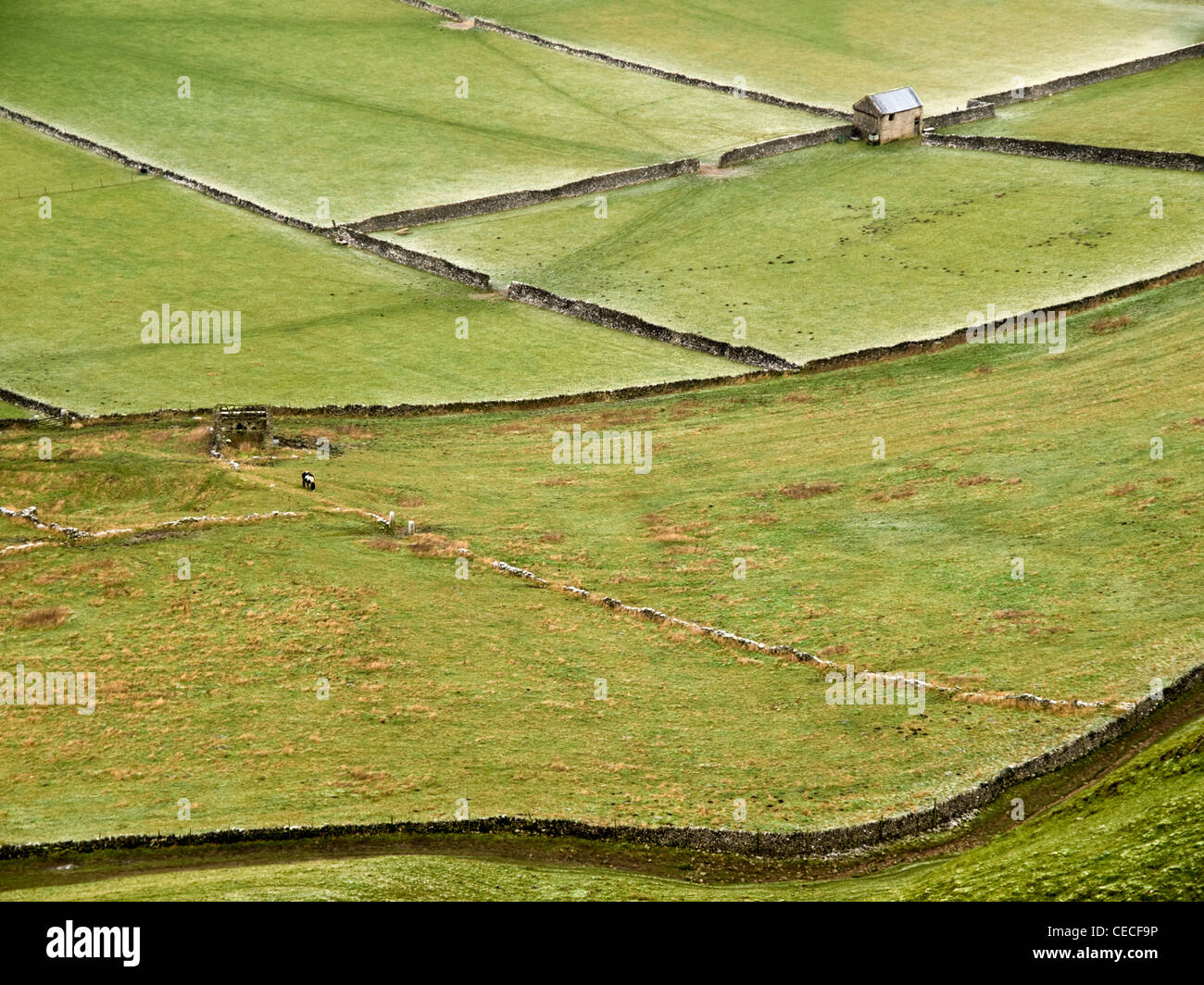 Frosty Felder in der Hoffnung Tal, Peak District, Derbyshire UK Stockfoto