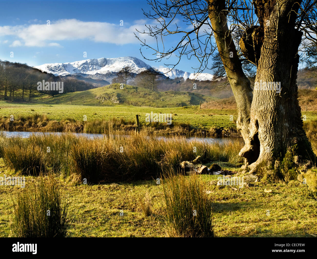 Die schneebedeckten Conniston Fells / Berge von Elterwater, Langdale, Lake District National Park, UK, Winter gesehen. Stockfoto