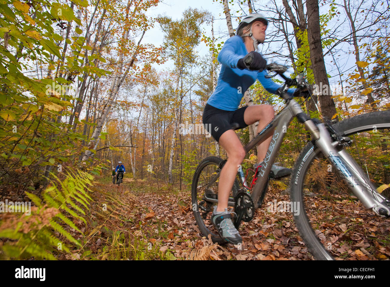 Frauen Mountainbiken auf einem Pfad auf dem Mühlstein Hill in Barre, Vermont.  Fallen. Mühlstein Trail Association. (MR) Stockfoto