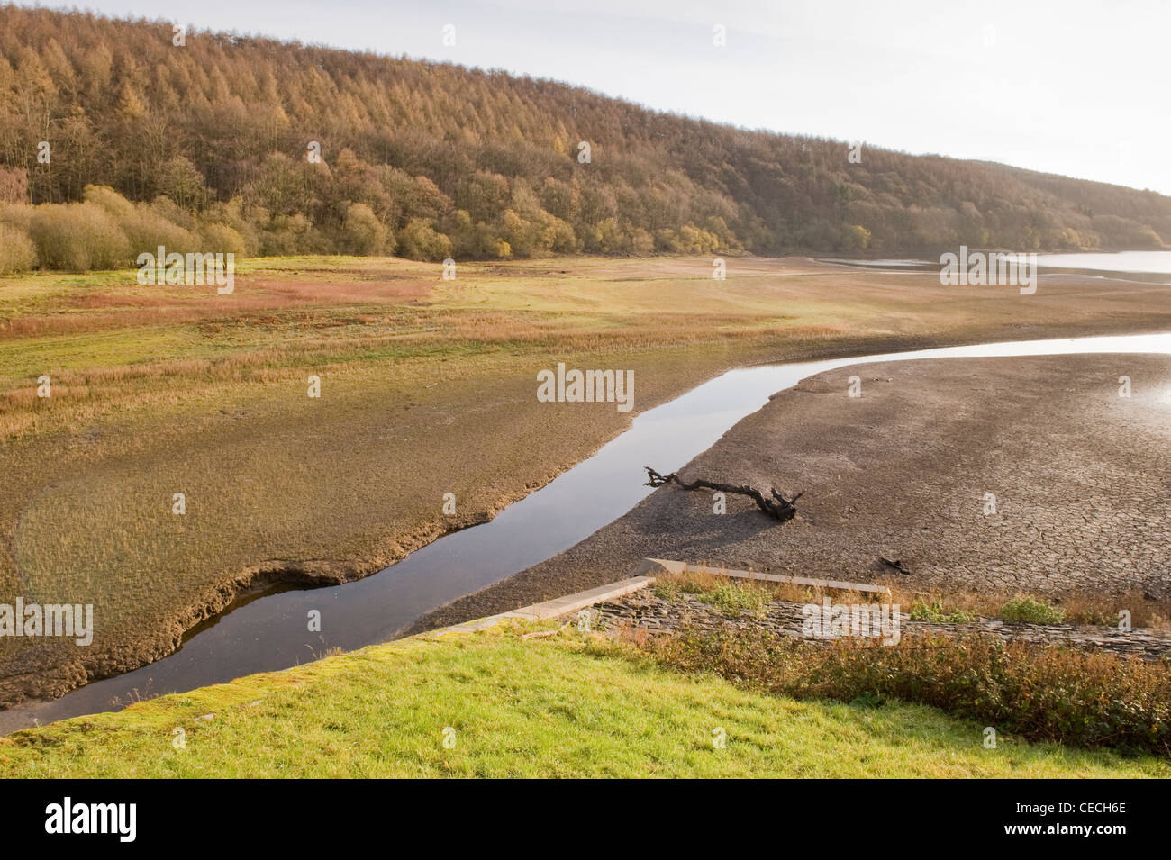 Stream läuft über ausgetrockneten Bett des Lindley Holz Behälter (niedriger Wasserstand und Trockenheit nach trockenen Herbst) - North Yorkshire, England, UK. Stockfoto