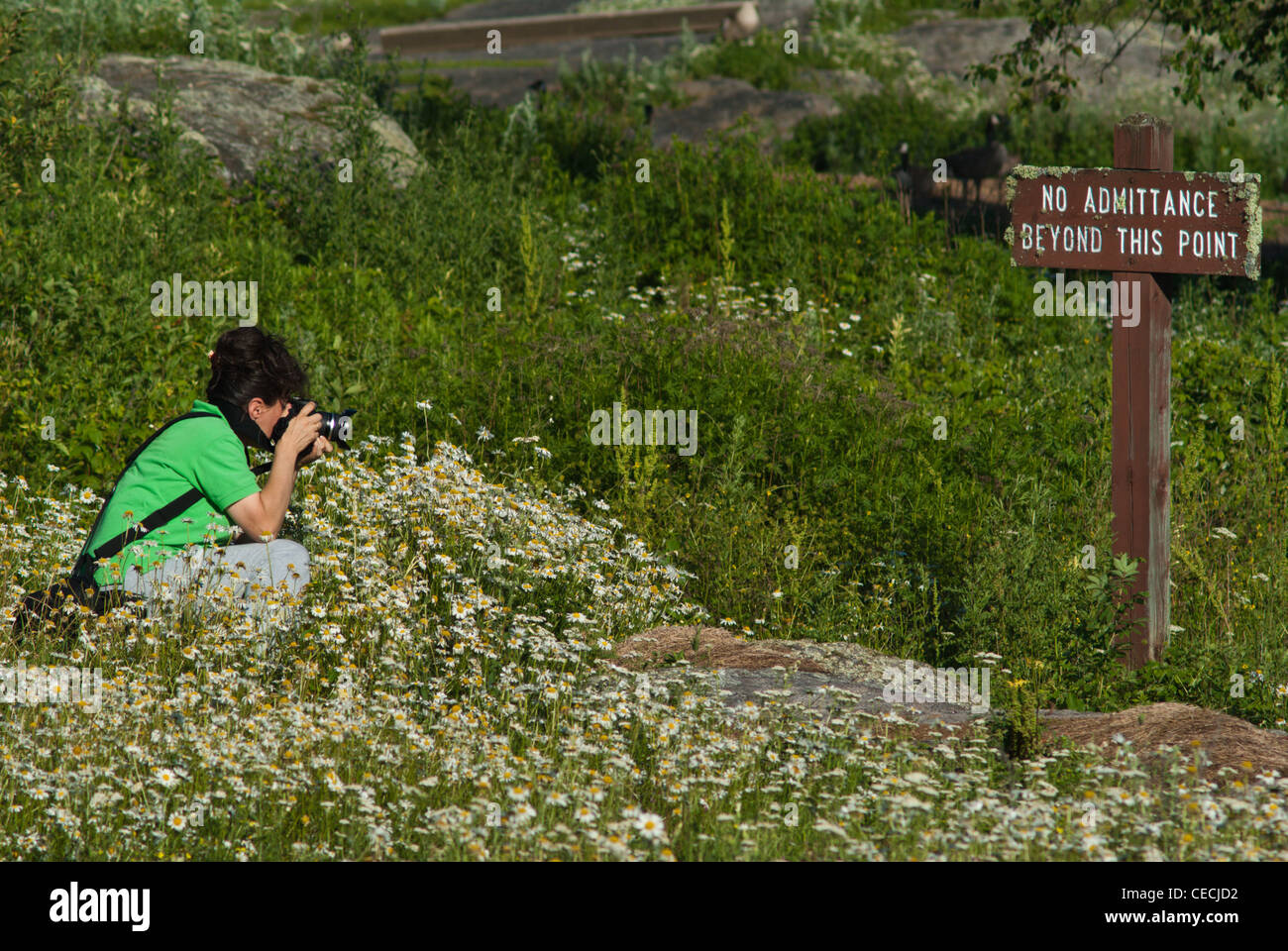 Whiteshell Manitoba Kanada Stockfoto
