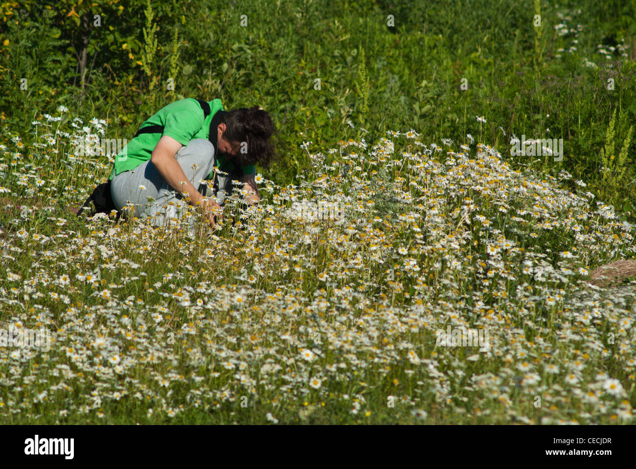 Whiteshell Manitoba Kanada Stockfoto