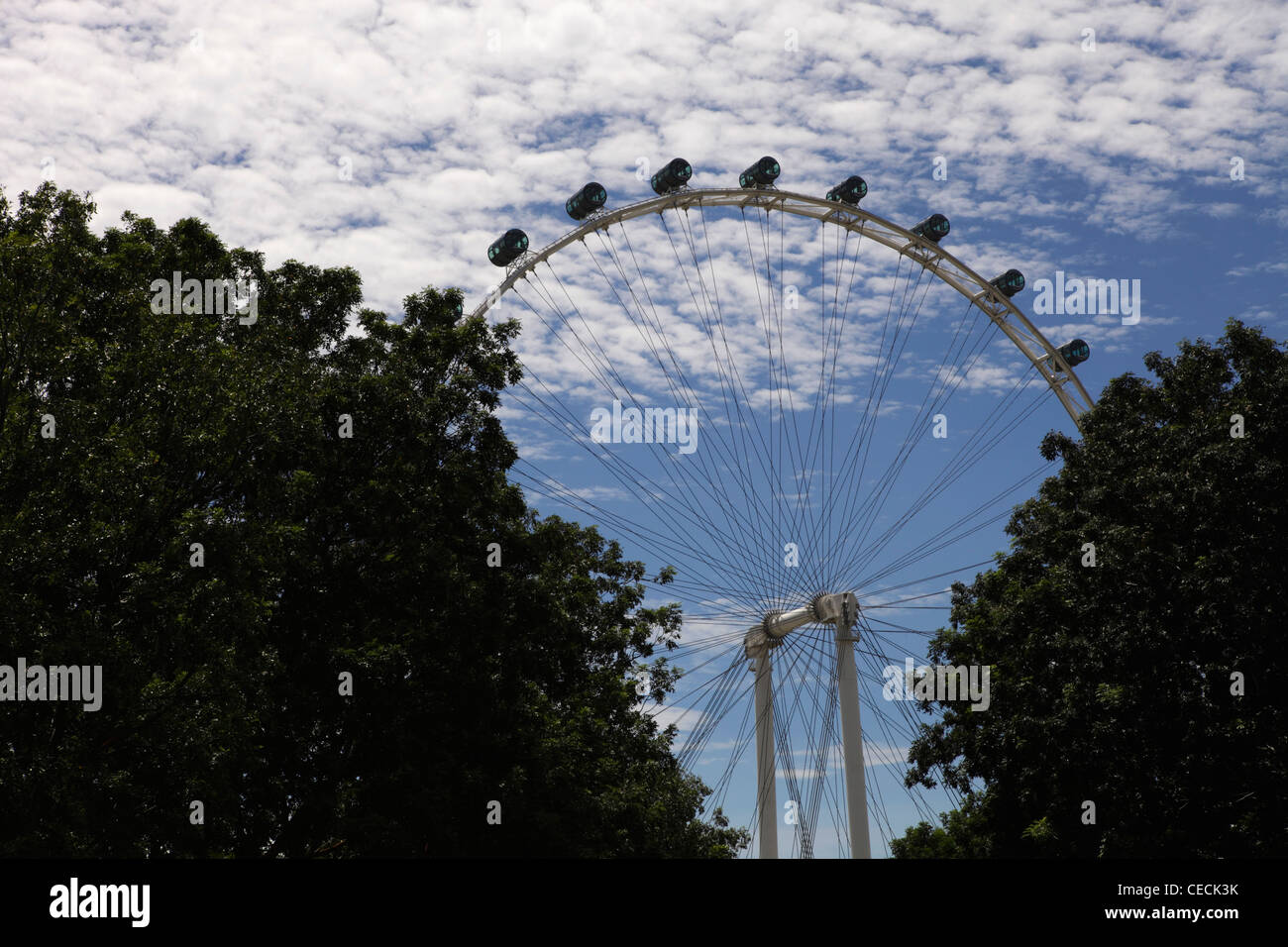 Singapore Flyer zwischen 2 Bäumen Stockfoto