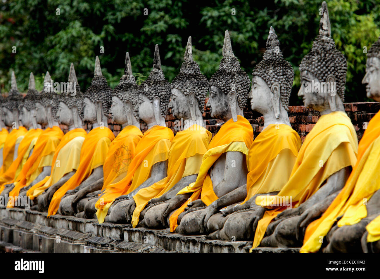 Stein-Buddhas in einer Linie mit Chaya Mongkol Tempel Wat Yai, Thailand Stockfoto