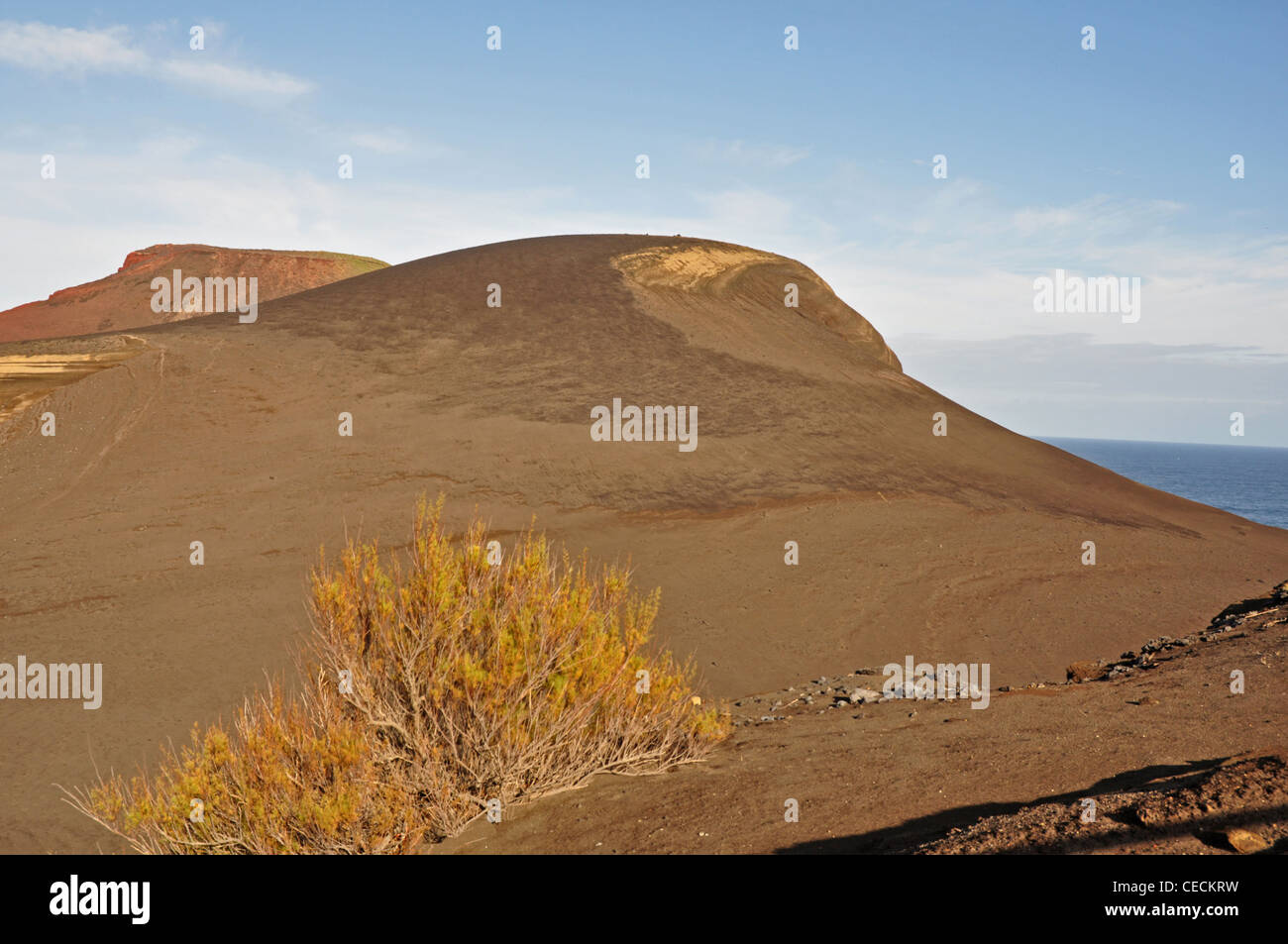 Europa, PORTUGAL, Azoren, Faial, Ponta Dos Capelinhos, mit 1958 Vulkankrater Ausbruch erweitert die Insel, mit Pflanzen Stockfoto