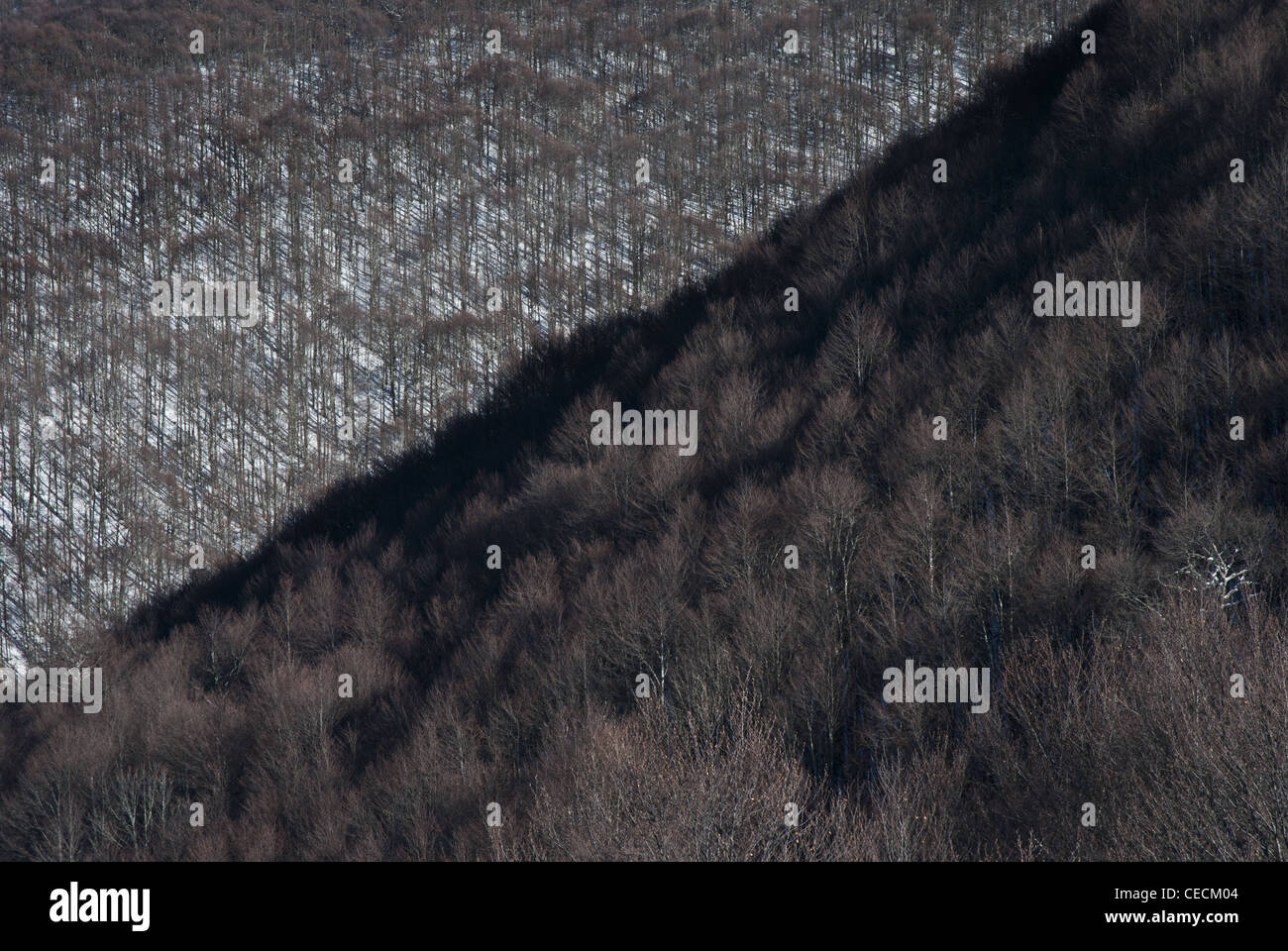 Schneebedeckte Holz Bergen in Mittelitalien (Appennine Berge) Stockfoto