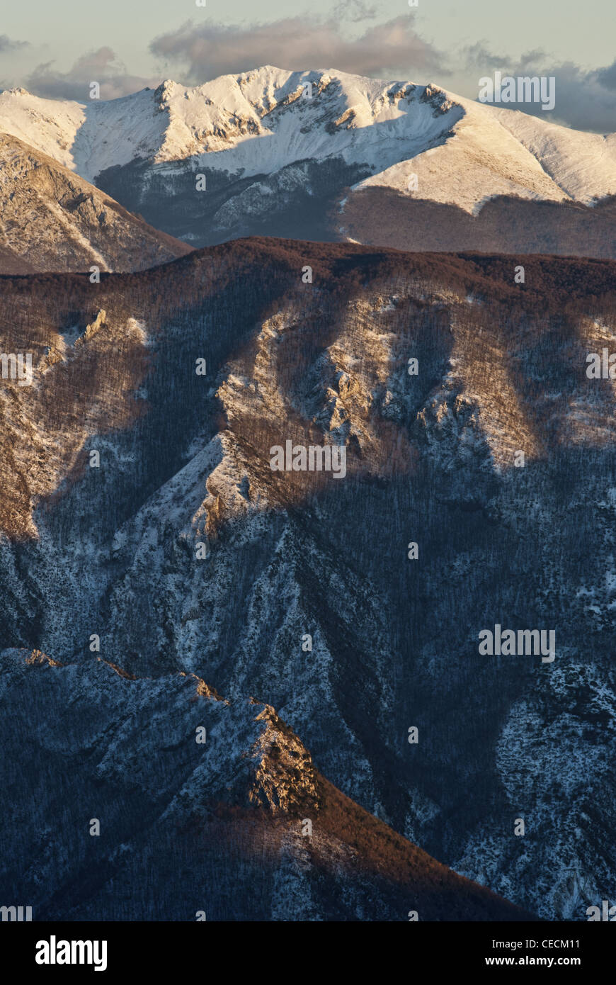 Schneebedeckte Holz Bergen in Mittelitalien (Appennine Berge) Stockfoto