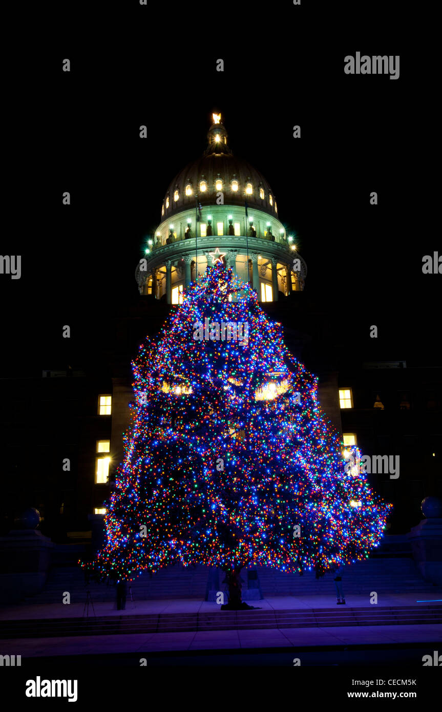 Idaho State Capitol Building und Weihnachtsbaum - 2011 Stockfoto