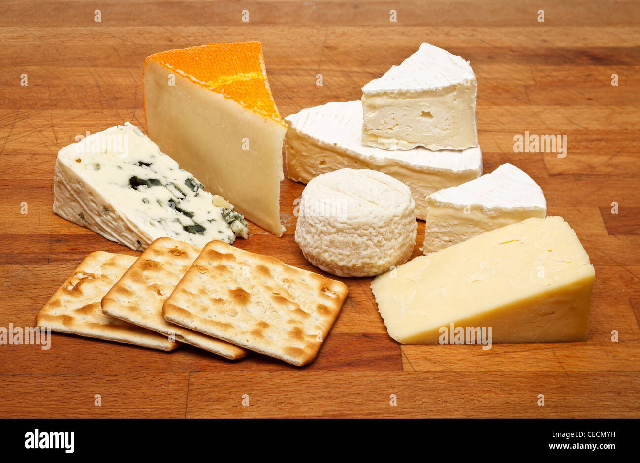 Käse vom Brett mit Camembert, Roquefort Blauschimmelkäse, Ziegenkäse, Cheddar und St. Paulin Käse Stockfoto