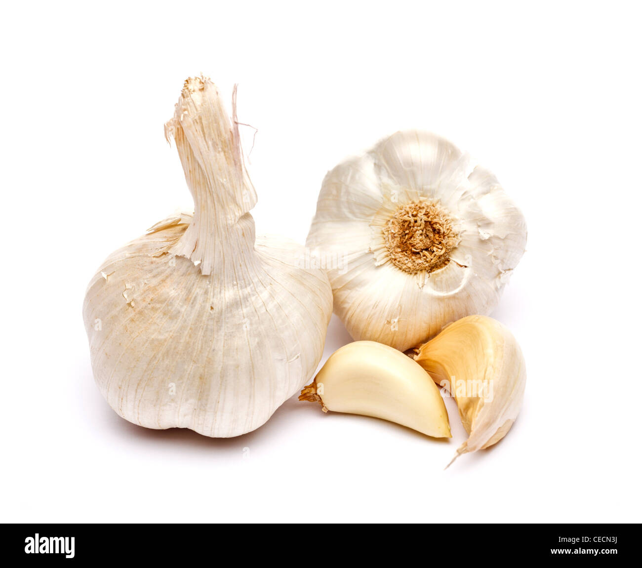 Knoblauch und Nelken auf weißem Hintergrund Stockfoto