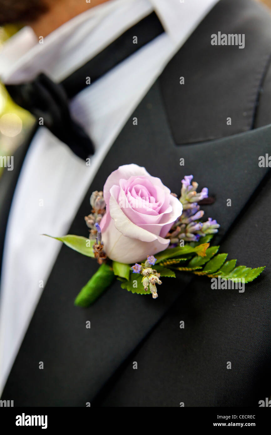 Der Bräutigam-Knopfloch-Blume Stockfoto