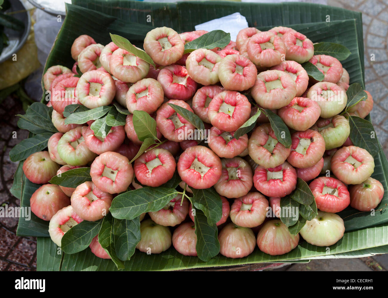 Jambu Obst zum Verkauf an Bến Thành Marktes in Ho-Chi-Minh-Stadt Stockfoto