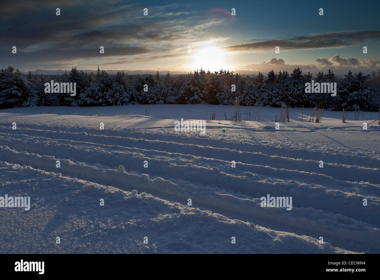 Verschneite Landschaft nach Wintersturm, Island Stockfoto