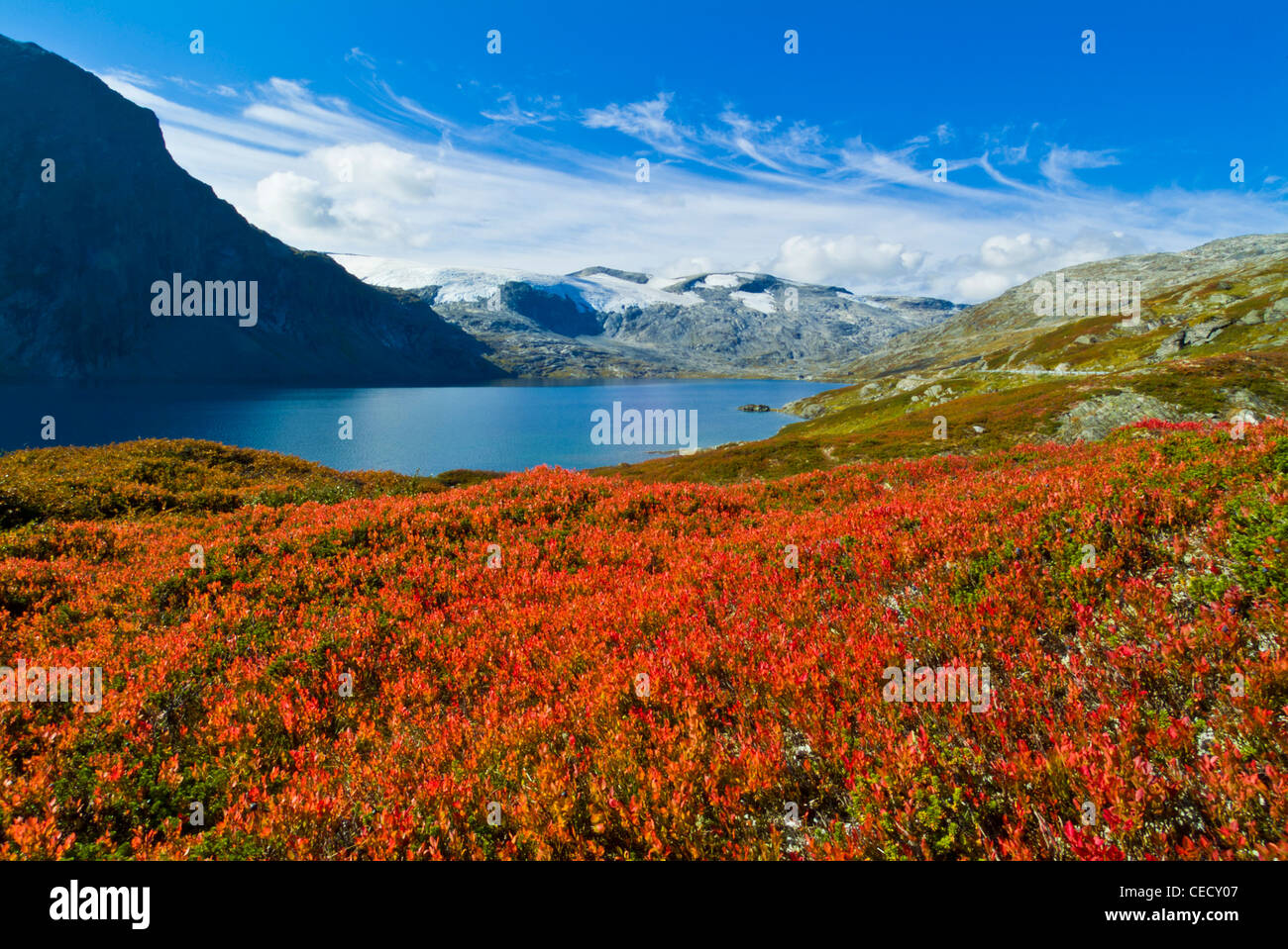 Djupvatnet See mit roten Flechten rund um Dalsnibba Plateau mehr Og Romsdal Norwegen EU Europa Stockfoto