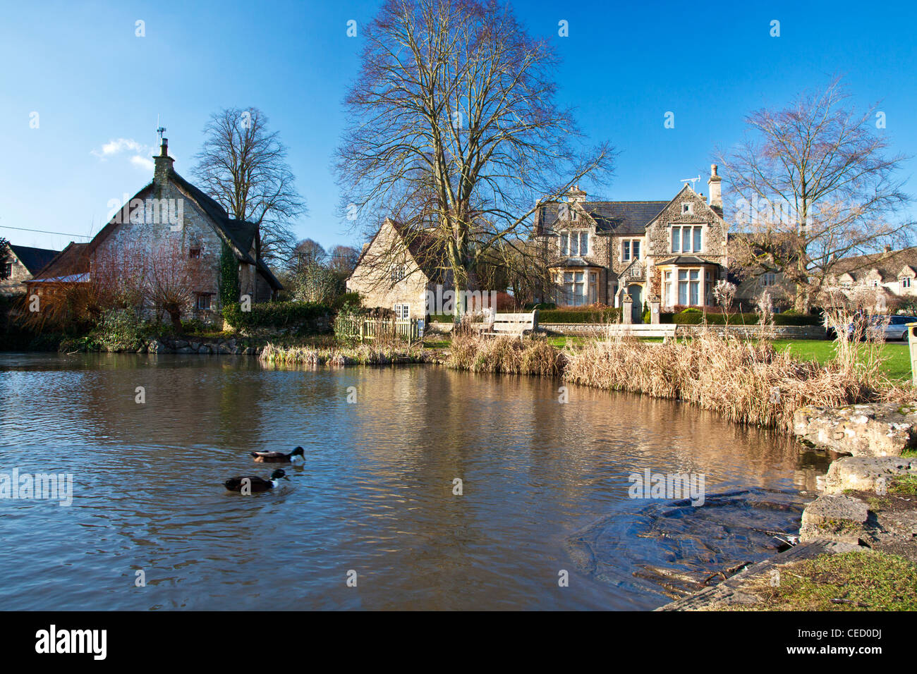 Häuser rund um ein typisch englisches Dorf Ententeich auf der grünen in Biddestone, Wiltshire, England, UK Stockfoto