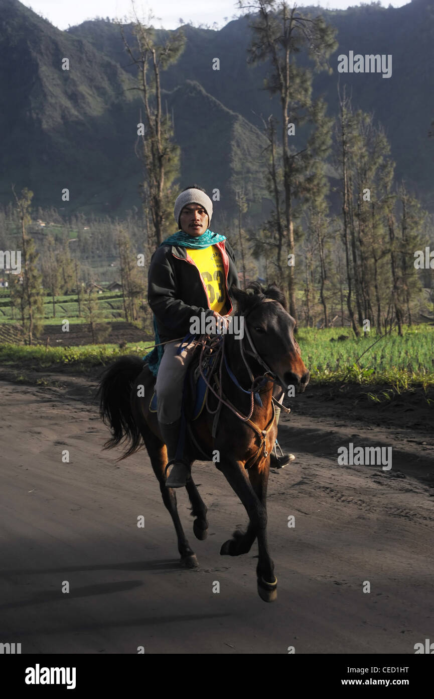 Unedentified indonesische Mann Reitpferd. Stockfoto