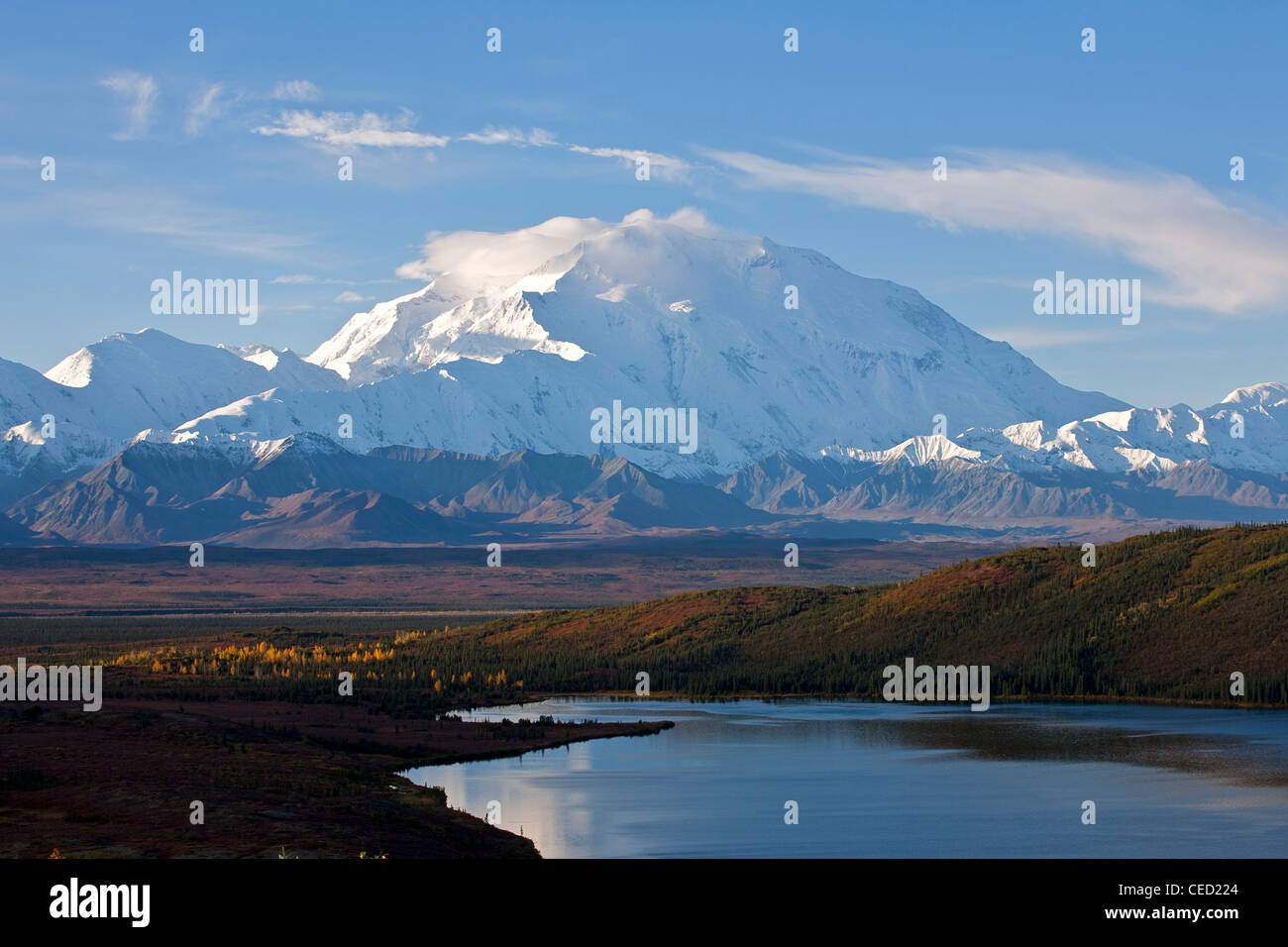 Mount McKinley (20,320 ft) und Wonder Lake. Denali-Nationalpark. Alaska. USA Stockfoto