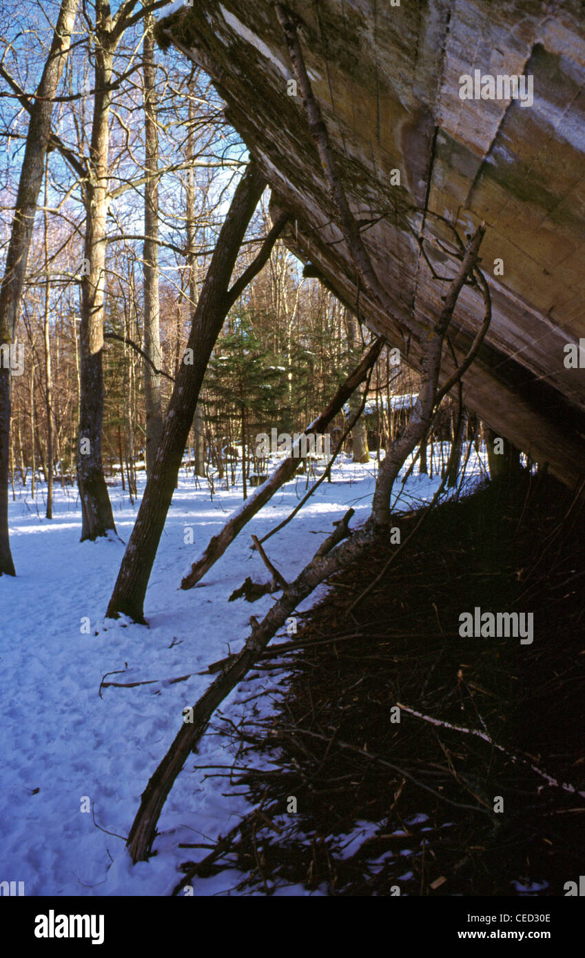 Der Schnee bedeckt Hitlers Wolfsschanze-Bunker Wolfsschanze oder Wolfsschanze, das erste Militärhauptquartier der Ostfront von Adolf Hitler im Zweiten Weltkrieg war, in der Nähe des kleinen Dorfes Gorlitz östlich der kleinen ostpreußischen Stadt Rastenburg, jetzt Ketrzyn, im heutigen Polen. Stockfoto