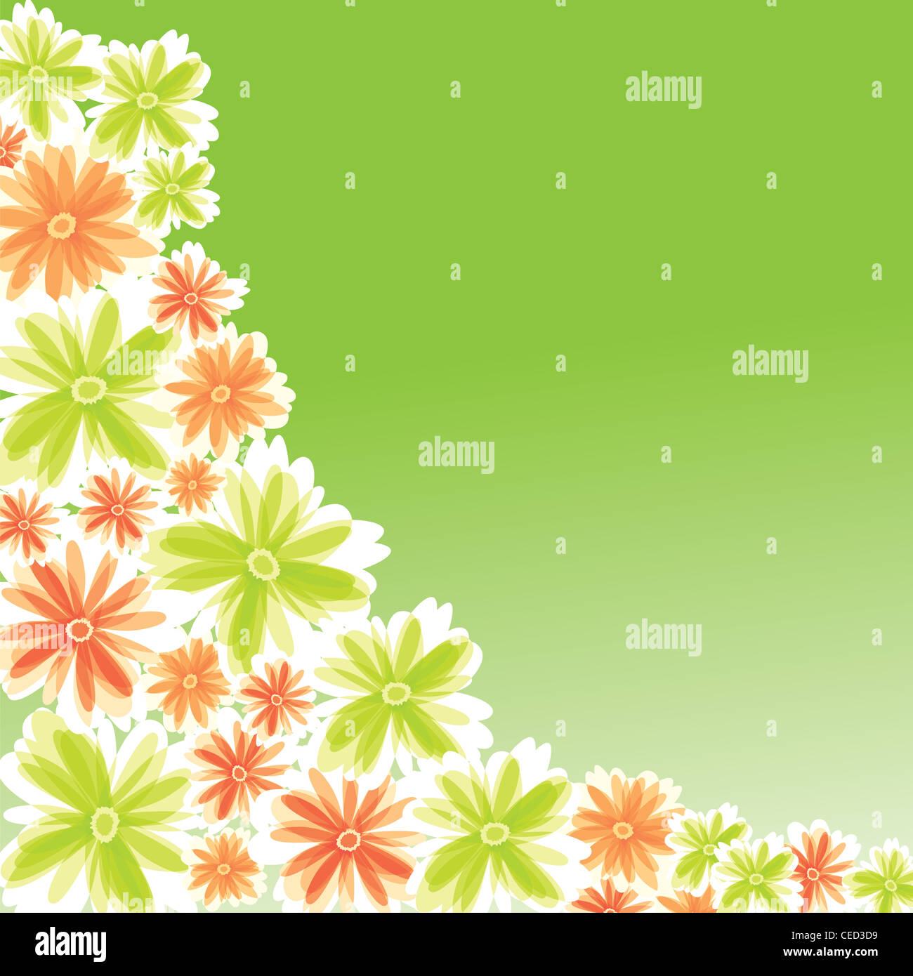 Blume-Illustration für Karte Design-Darstellung. Stockfoto