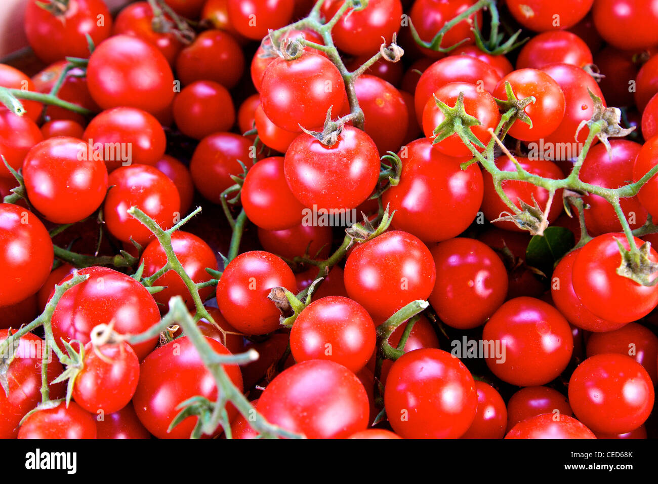 Kleine Tomaten genannt 'Ciliegine' aus Süditalien Stockfoto