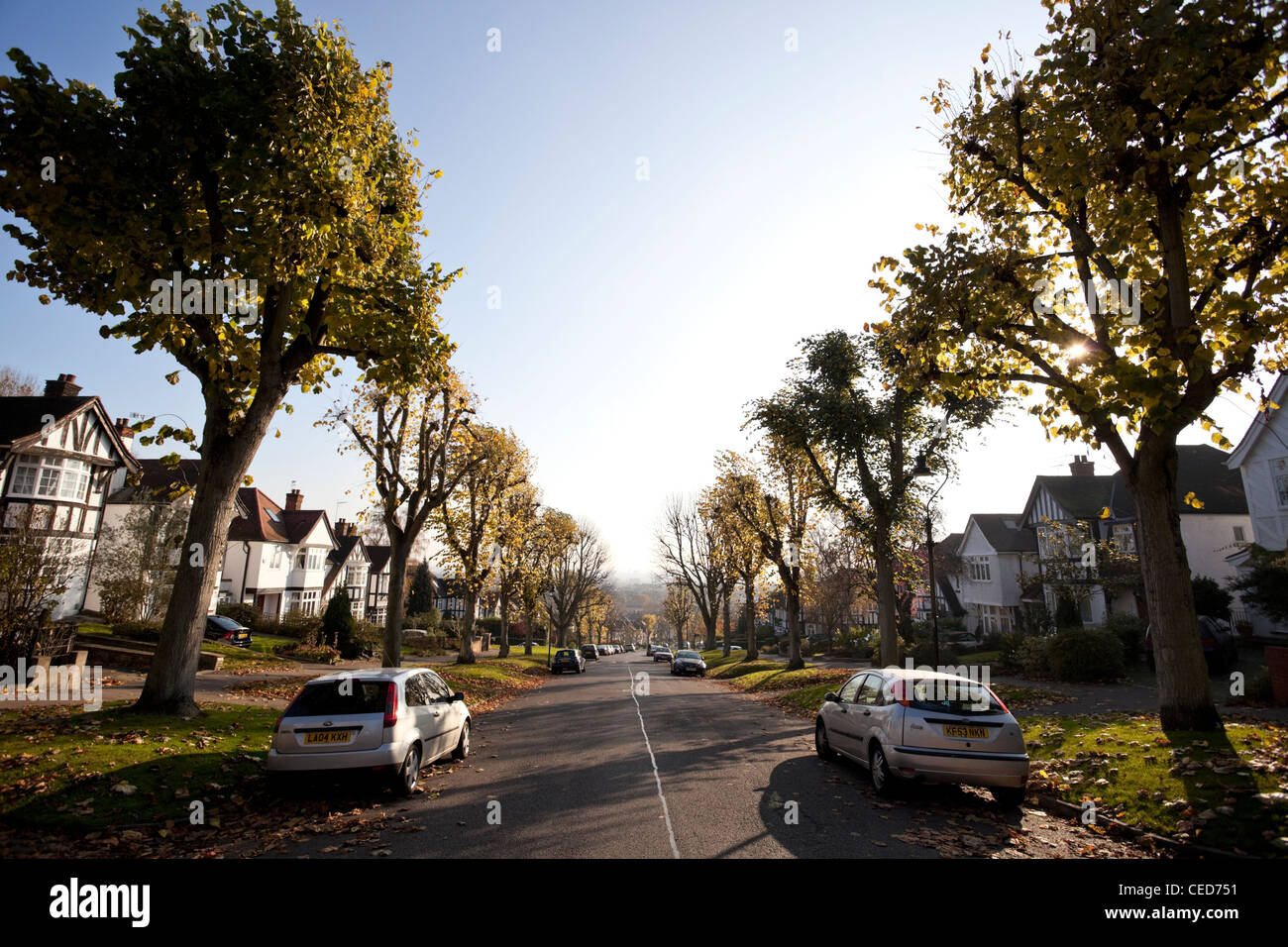 Hillway, Holly Lodge Estate, Highgate, London, N6, England, Großbritannien. Stockfoto