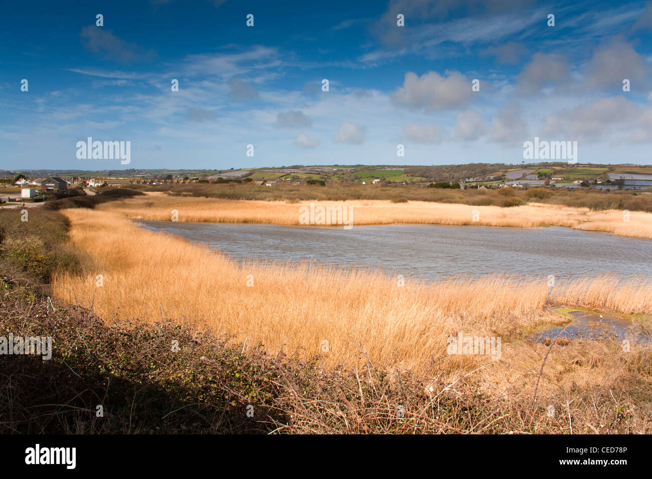 Langer Rock Pool und Marazion Marsh; Cornwall; VEREINIGTES KÖNIGREICH; von der Straße; Stockfoto